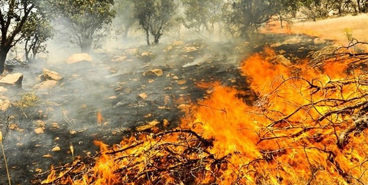 آتش سوزی در جنگل‌های شمال در فصل پاییز
