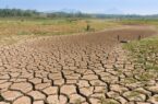 نگاهی آینده نگرانه به پدیده ی هولناک «خشکسالی»