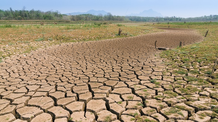 نگاهی آینده نگرانه به پدیده ی هولناک «خشکسالی»